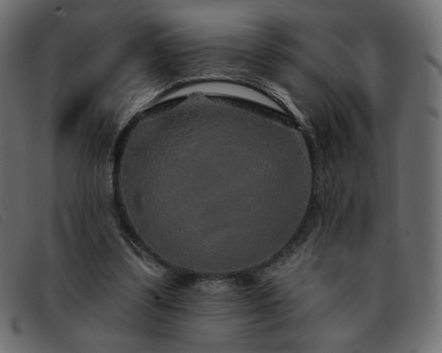 X0000093580299200710151150