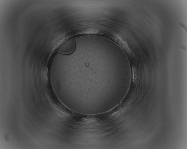 X0000093580300200710151150