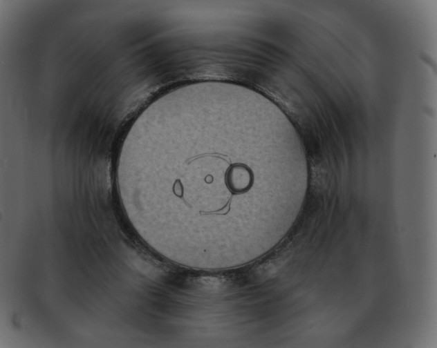 X0000093580302200710151150