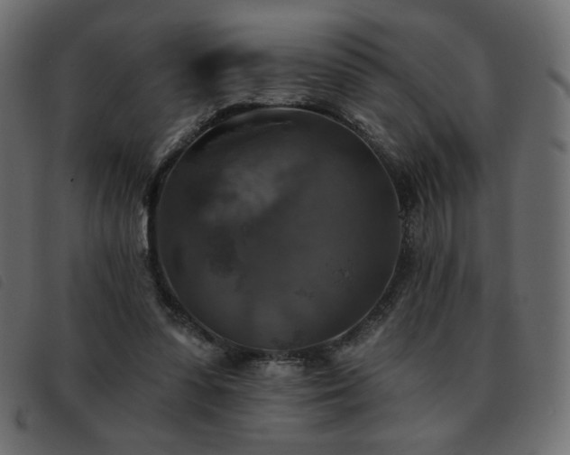 X0000093580303200710151150