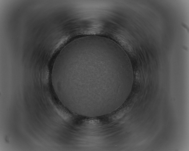 X0000093580304200710151150