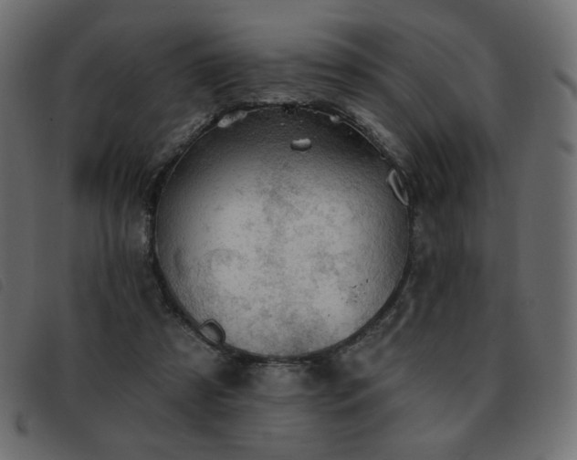 X0000093580305200710151150