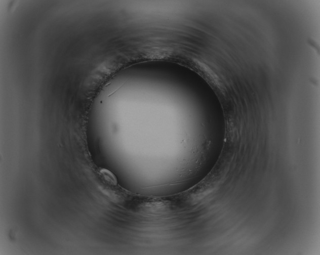 X0000093580307200710151150