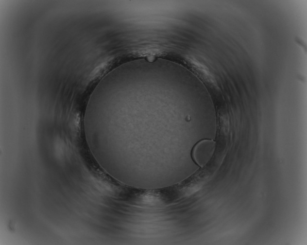 X0000093580308200710151150