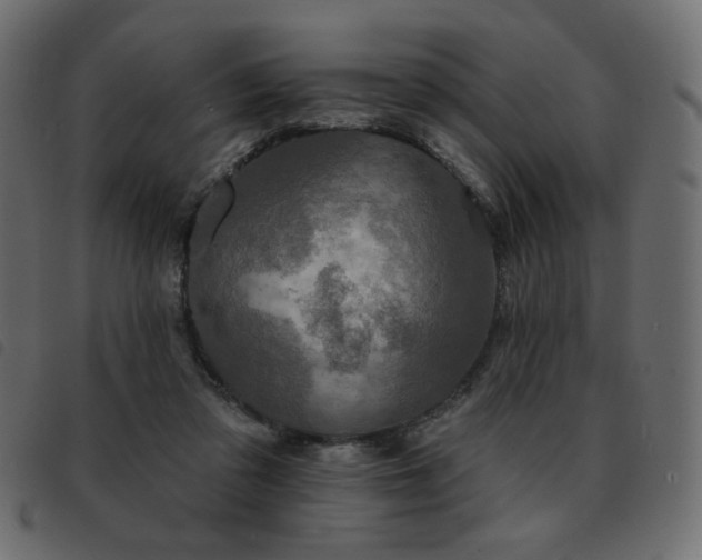X0000093580309200710151150