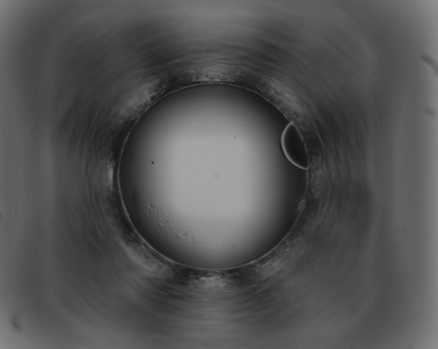 X0000093580310200710151150