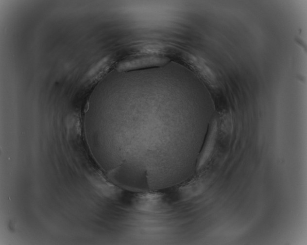 X0000093580313200710151150