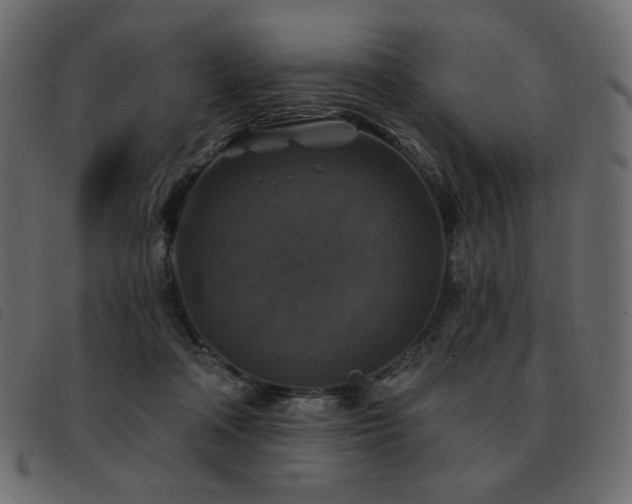 X0000093580314200710151150