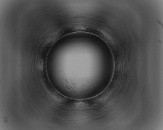 X0000093580315200710151150