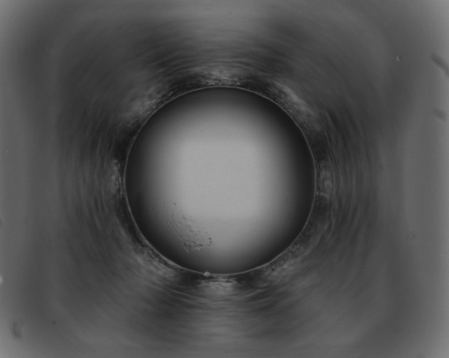 X0000093580318200710151150