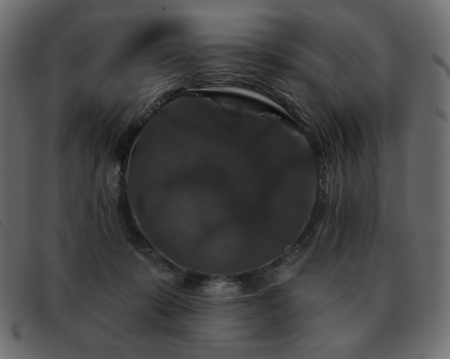 X0000093580319200710151150