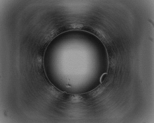 X0000093580321200710151150