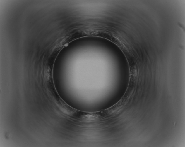 X0000093580323200710151150