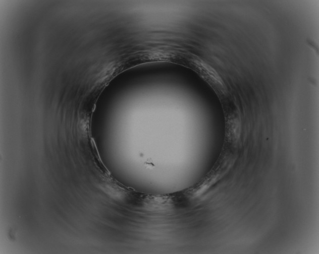 X0000093580329200710151150