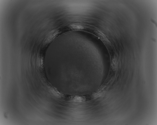 X0000093580330200710151150