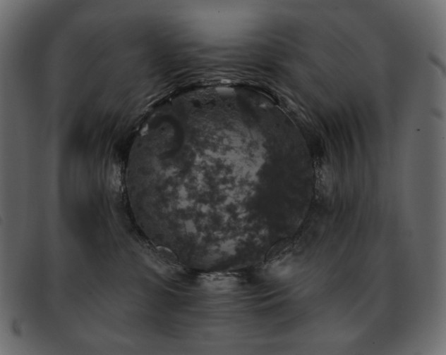 X0000093580331200710151150