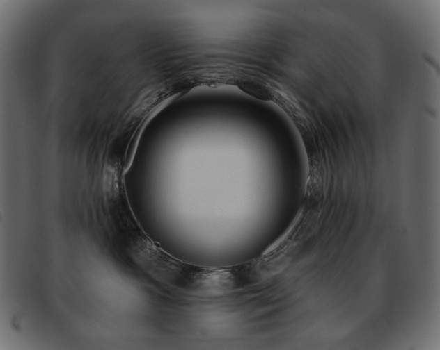 X0000093580333200710151150