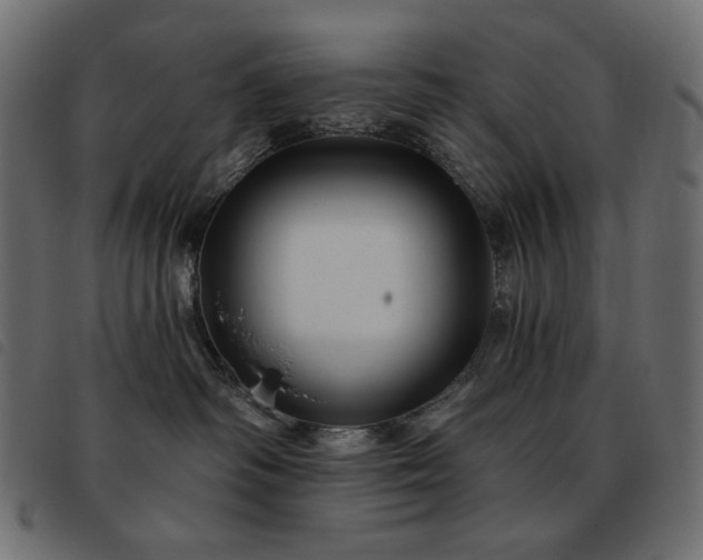 X0000093580334200710151150