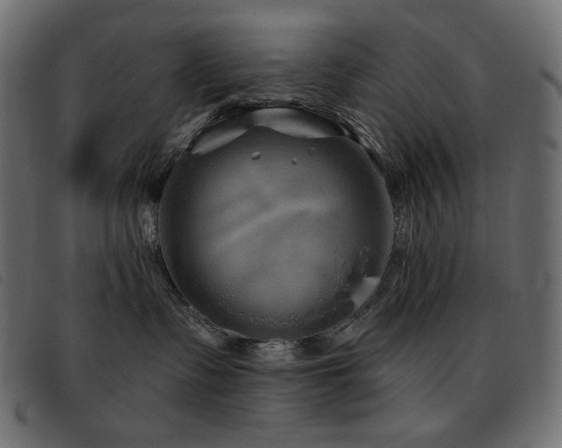 X0000093580335200710151150