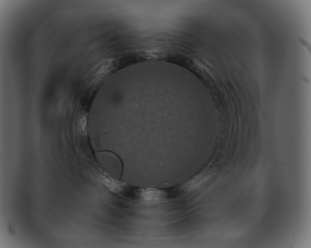 X0000093580336200710151150