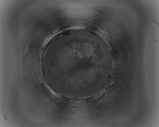 X0000093580337200710151149