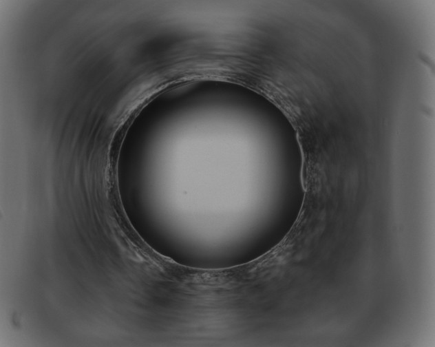 X0000093580338200710151149