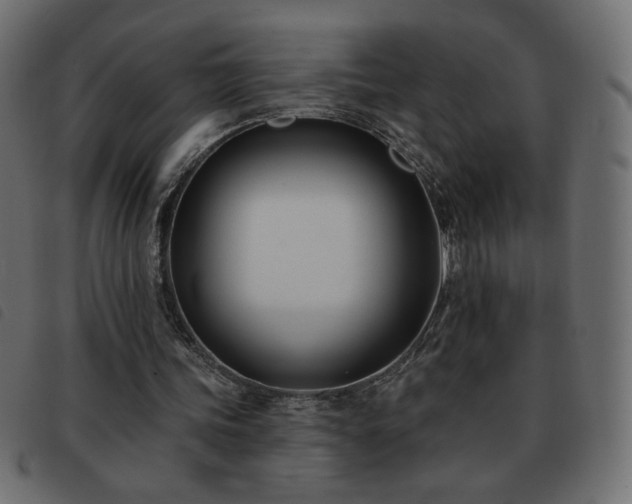 X0000093580339200710151149