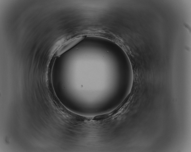X0000093580340200710151149