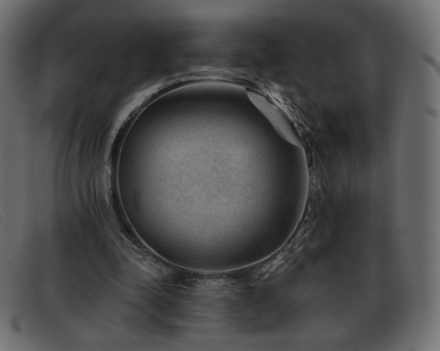 X0000093580342200710151149