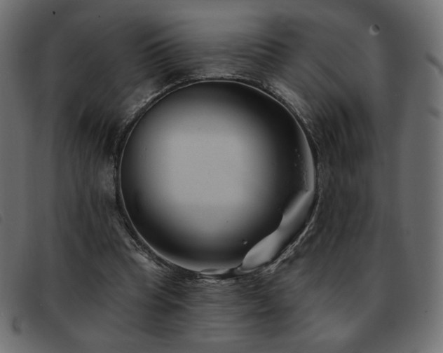 X0000093580345200710151149