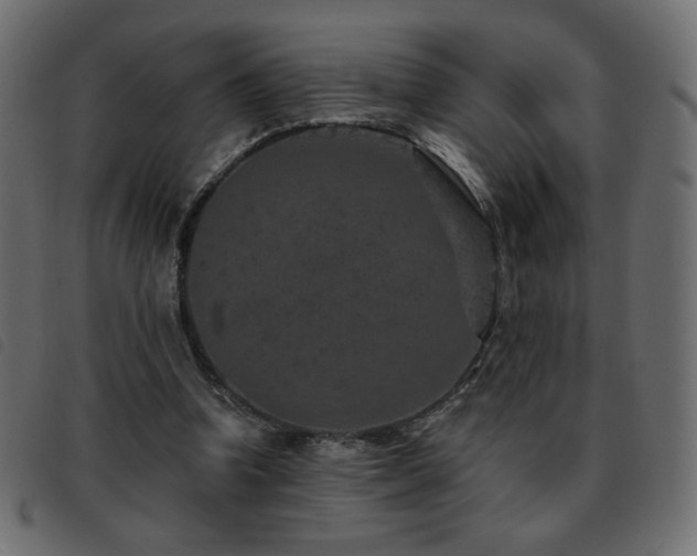 X0000093580346200710151149