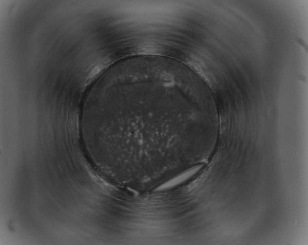 X0000093580349200710151149
