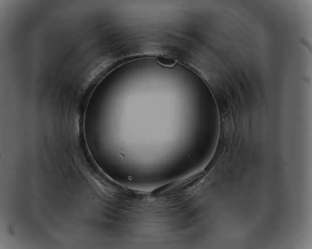 X0000093580350200710151149