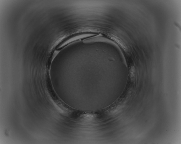 X0000093580352200710151149