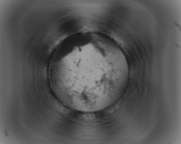X0000093580353200710151149