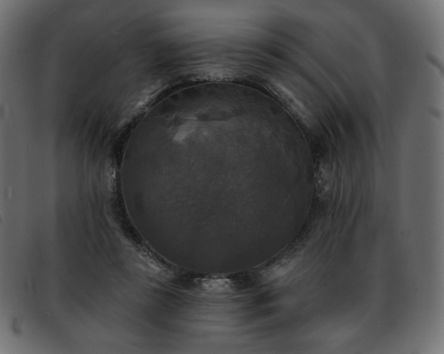 X0000093580355200710151149