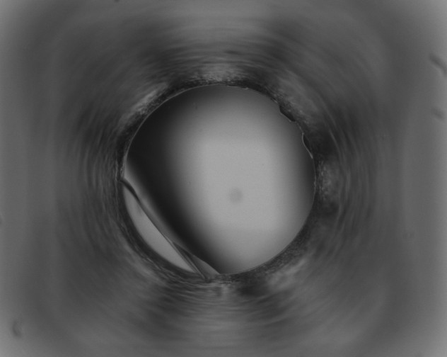 X0000093580356200710151149