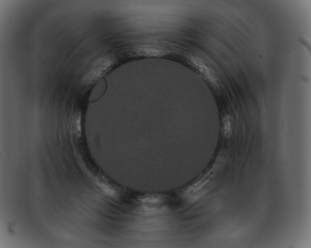 X0000093580358200710151149