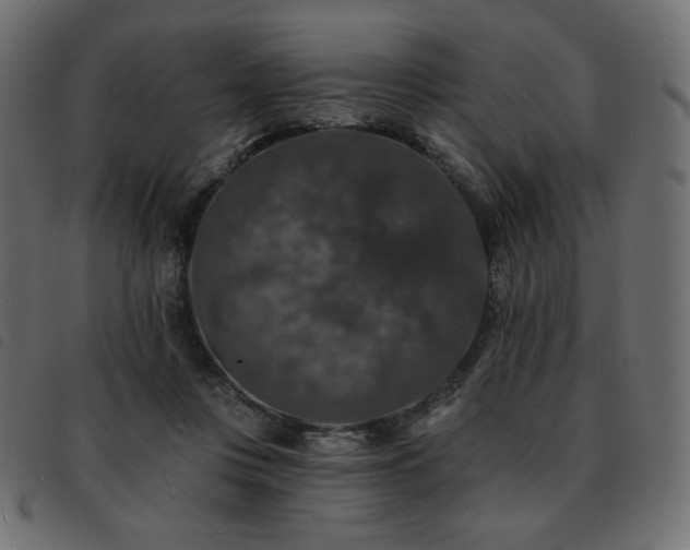 X0000093580359200710151149