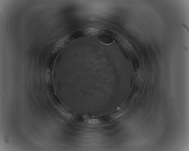 X0000093580361200710151149