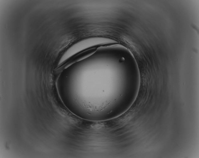 X0000093580362200710151149