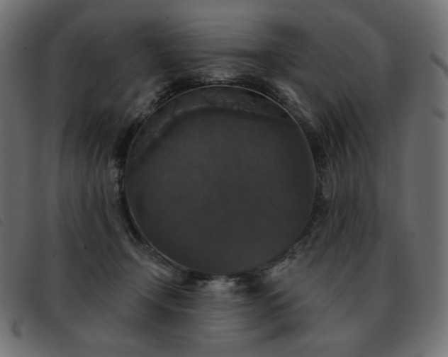 X0000093580366200710151149