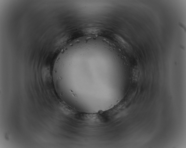 X0000093580377200710151150
