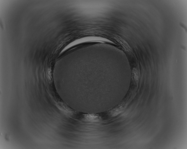 X0000093580380200710151150