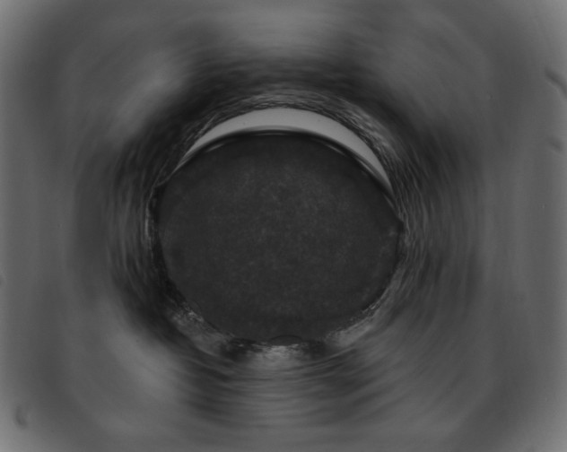 X0000093580382200710151150