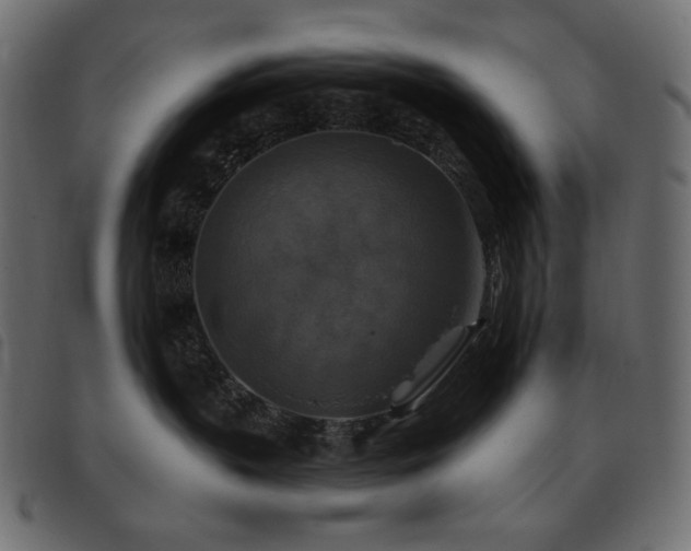 X0000093580383200710151150