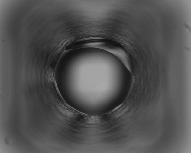 X0000093580384200710151150