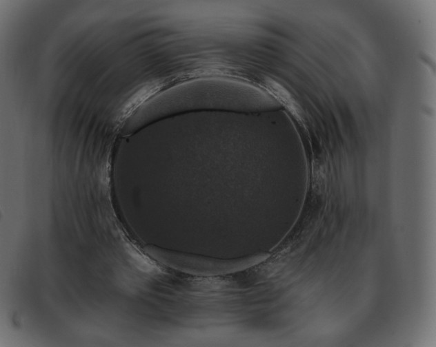 X0000093580389200710151149