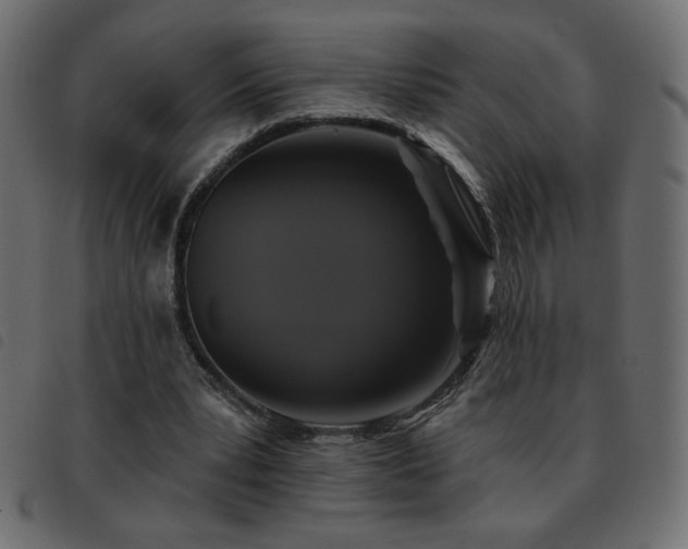 X0000093580391200710151149