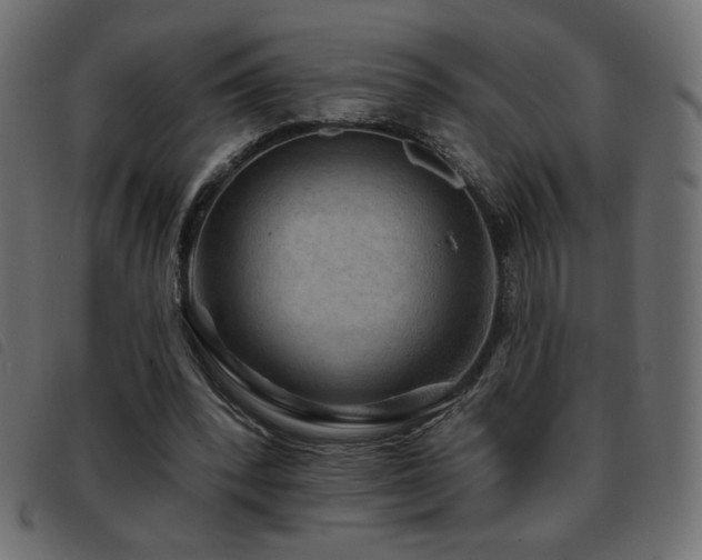X0000093580392200710151149